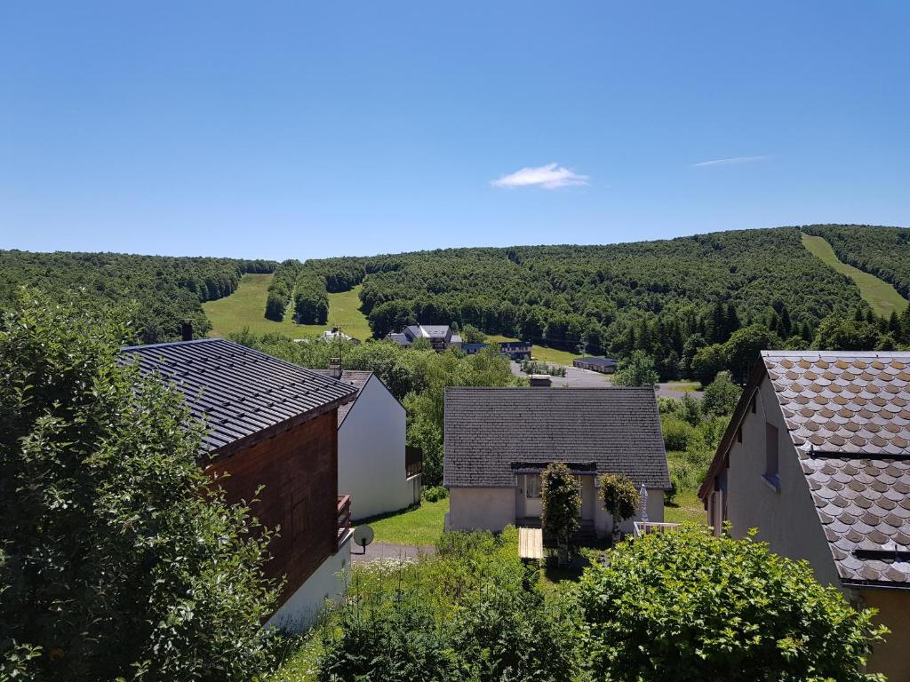 una vista aerea di un villaggio con case e alberi di AUBRAC brameloup a Prades-dʼAubrac