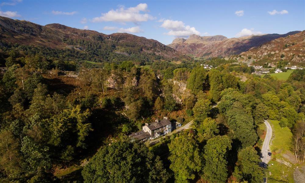 an aerial view of a house in the middle of a forest at Oakbank in Elterwater