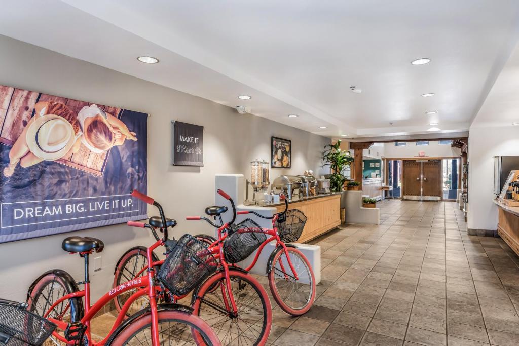 Jízda na kole v ubytování Red Lion Inn & Suites Goodyear nebo okolí