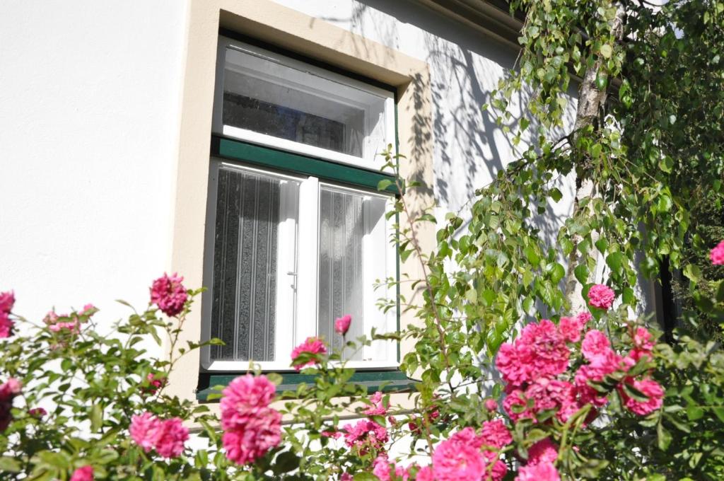 Zahrada ubytování Haus Irblingweg