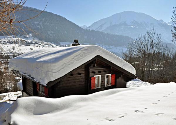 a snow covered cabin with a snow covered roof at Maxima in Fiesch