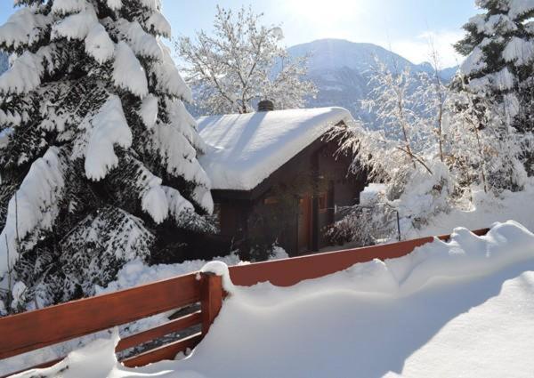 a snow covered cabin with a snow covered tree at Trimka in Fiesch