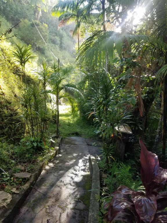  Chácara pé na água em meio à Mata Atlântica com piscina