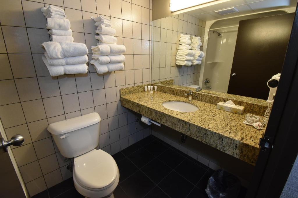 Canad Inns Destination Centre Transcona - Resim 14