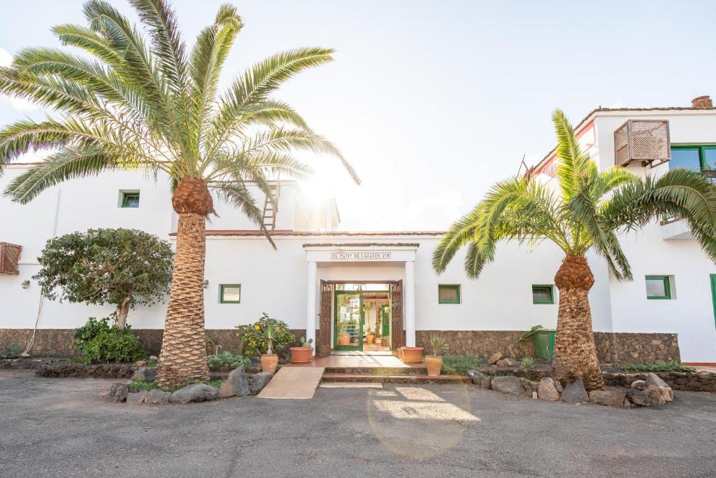 two palm trees in front of a building at Surfescape Fuerteventura in Lajares