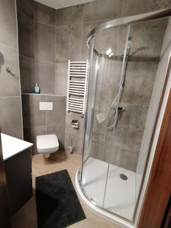 Apartamenty Zakopane U Kośle 2 - 11