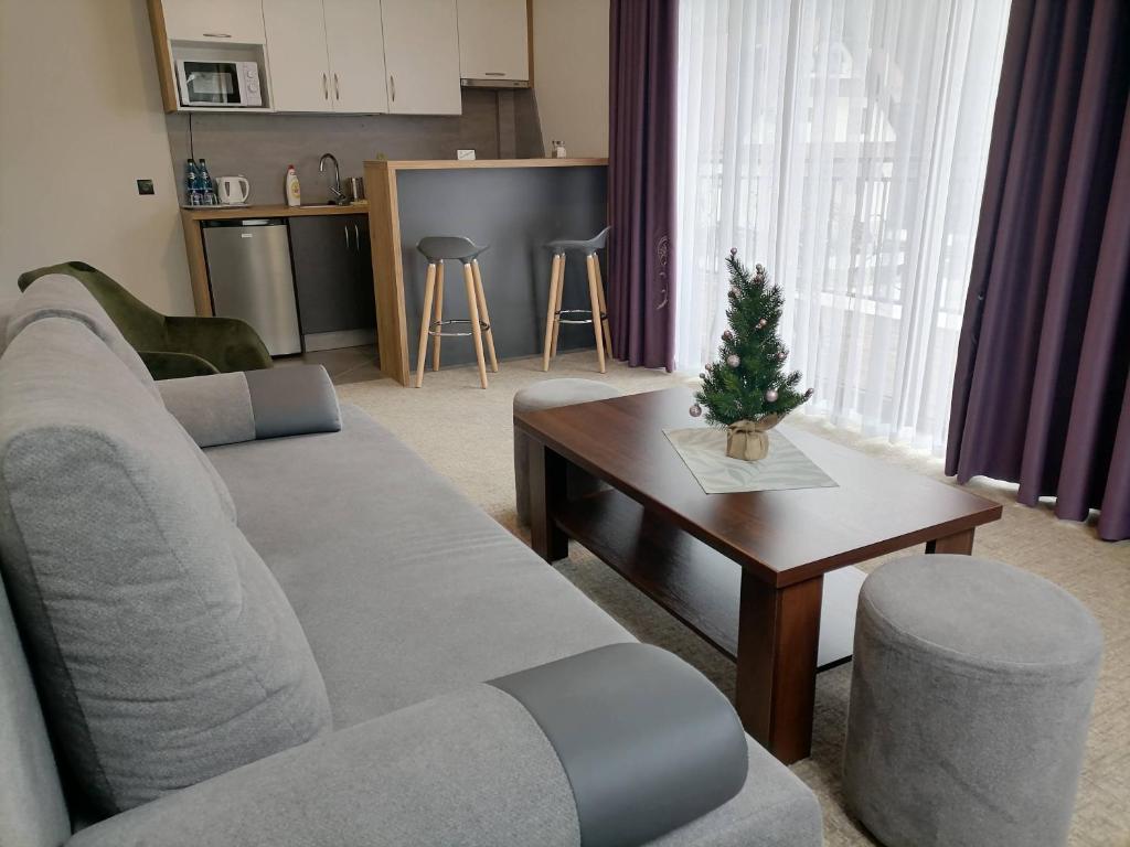 Apartamenty Zakopane U Kośle 2 - 14
