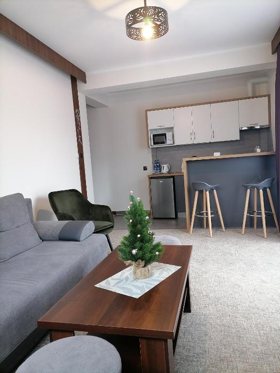 Apartamenty Zakopane U Kośle 2 - 13