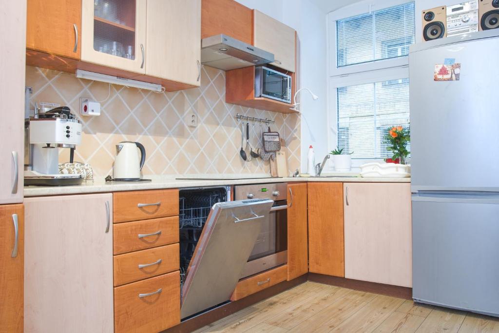 a kitchen with a refrigerator and a sink at Apartmán Pod Černou Horou in Svoboda nad Úpou