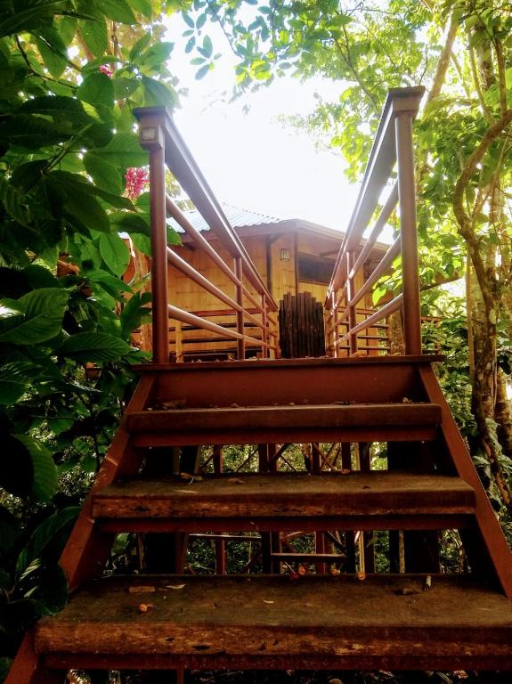Imagem da galeria de TREEHOUSE PILON PAVONES em Pavones