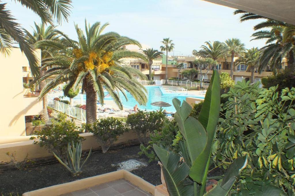 Fotografie z fotogalerie ubytování Casa Dan "Residencial Las Dunas" v destinaci Corralejo