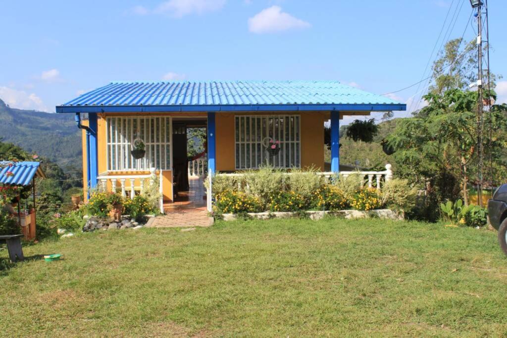 une petite maison jaune avec un toit bleu dans l'établissement Casa el Colibrí, Finca Cerros de Payuco, à Fresno