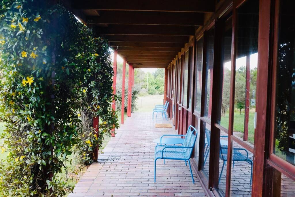 a row of blue chairs sitting on a porch at Willunga Cottage — Sweet Country Retreat in Lyndhurst South