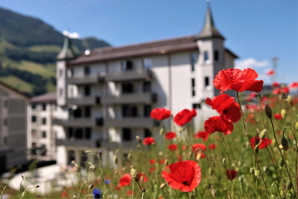 a field of red flowers in front of a building at Emma's B&B - Self Check-in Hotel in Lungern