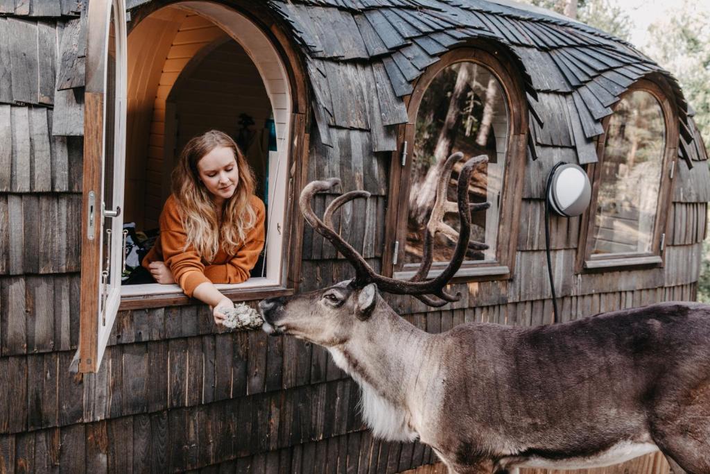 una chica en una casa alimentando a un ciervo desde una ventana en Igluhut – Sleep with reindeer en Espoo