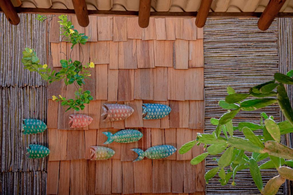 Rio das Onças  Rio das Onças