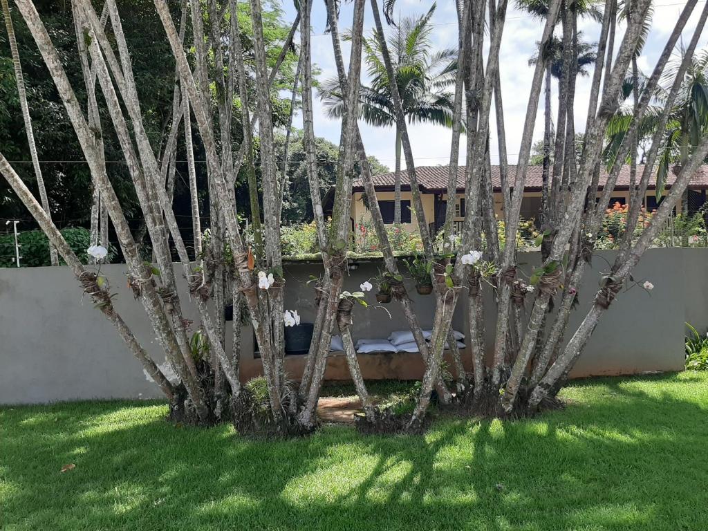  Belíssima Cobertura Duplex de Alto Padrão na praia do Tenório em Ubatuba-SP