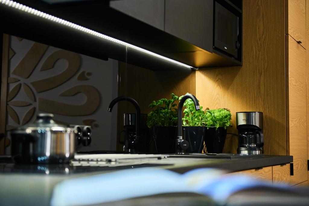Kuchyňa alebo kuchynka v ubytovaní VIP Apartamenty, ORKANA APART
