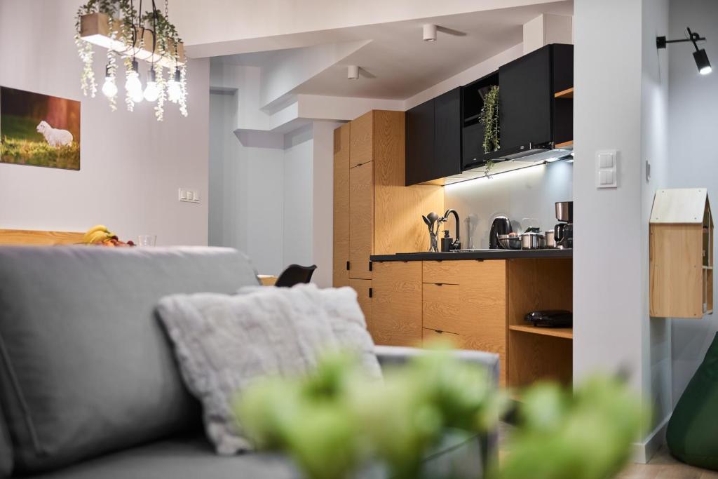 Kuchyňa alebo kuchynka v ubytovaní VIP Apartamenty, ORKANA APART