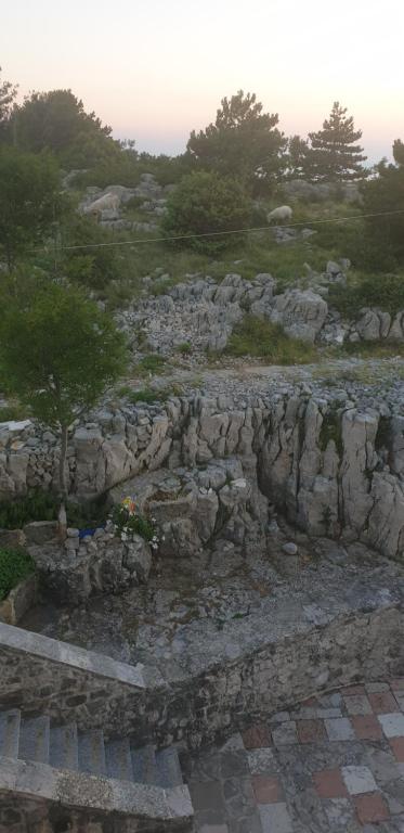 Příroda nedaleko apartmánu