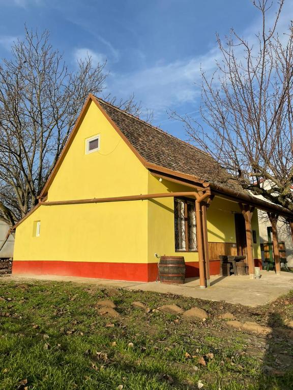 żółty i czerwony dom z dachem gambrel w obiekcie Het Hongaarse Wijnhuis w mieście Mohacz