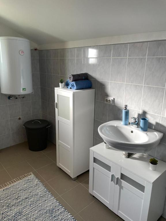 Łazienka w obiekcie Het Hongaarse Wijnhuis