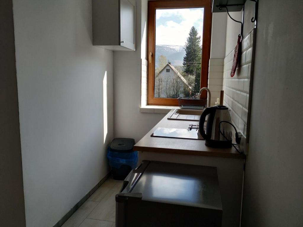 Nespecifikovaný výhled na hory nebo výhled na hory při pohledu z apartmánu