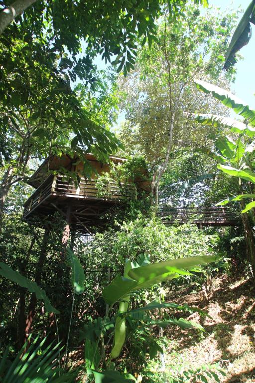 Paisagem natural perto do alojamento de turismo selvagem