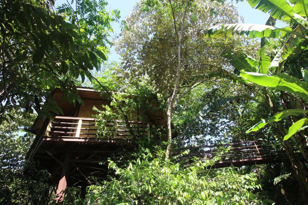 Um jardim no exterior de TREEHOUSE PILON PAVONES