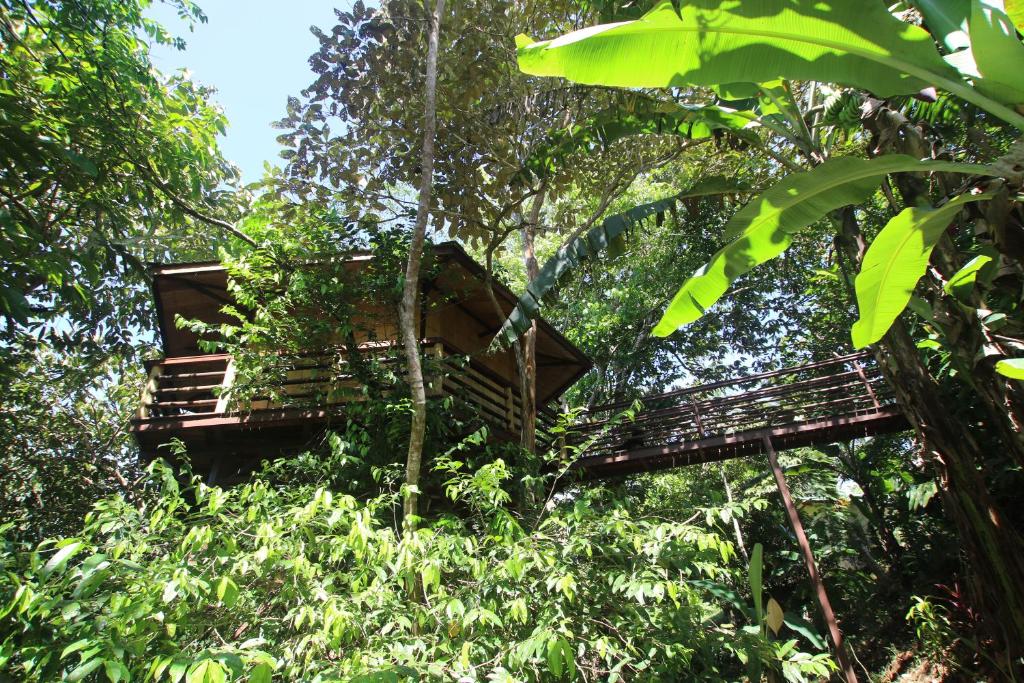 Um jardim no exterior de TREEHOUSE PILON PAVONES