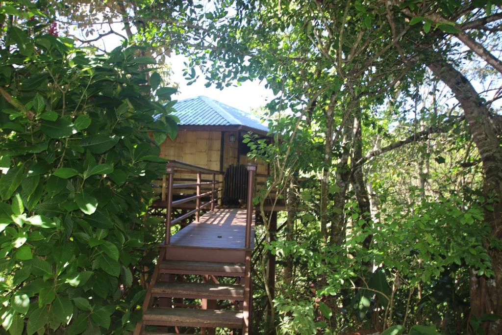 Um jardim no exterior de TREEHOUSE PILON PAVONES