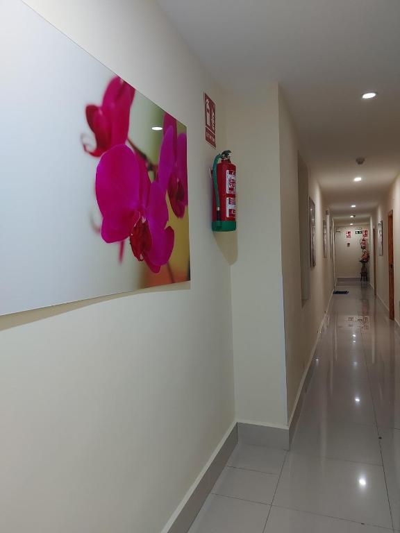Fotografie z fotogalerie ubytování Hostal Moncloa v destinaci Madrid