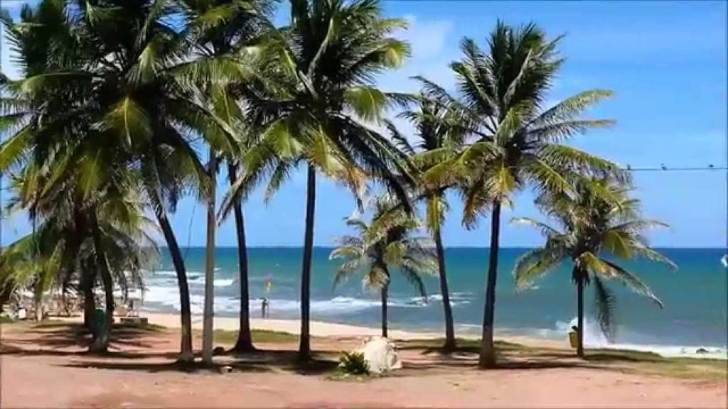 grupa palm na plaży w obiekcie Casa 2 Quartos na Praia de Itapuã com Ar w mieście Salvador