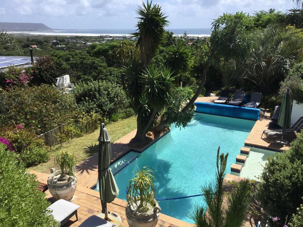 a swimming pool with a view of the ocean at Oceangolf Guest House in Noordhoek