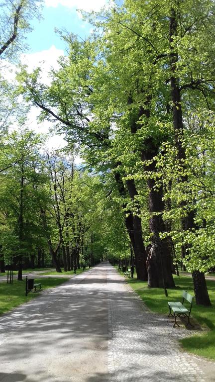 Príroda v okolí apartmánu