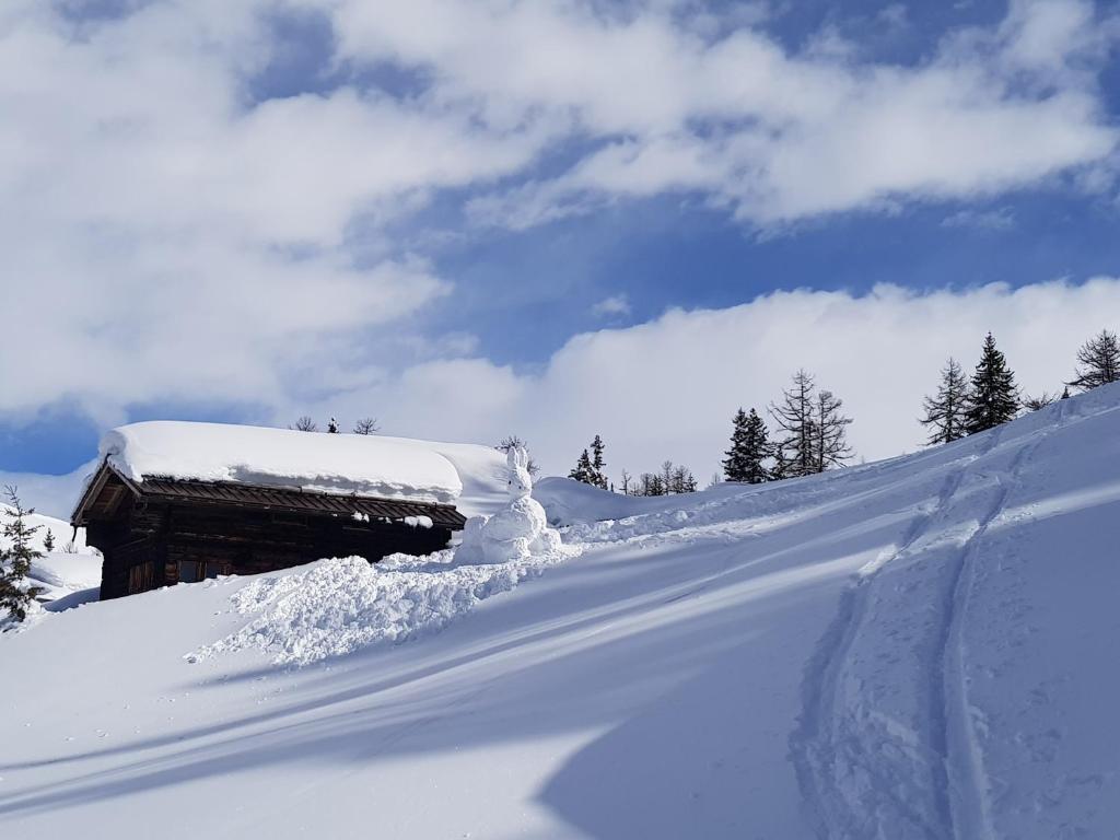 Chalet Biene - Swiss Alp Chalet with Sauna and Jacuzzi að vetri til