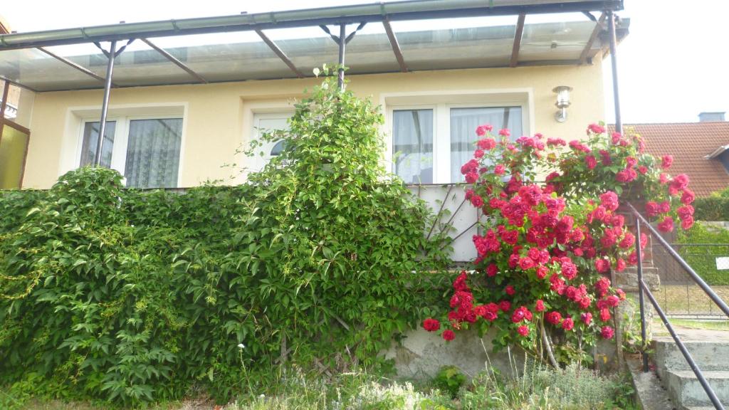 una casa con flores rosas delante de ella en Ferienhaus 1 en Elbingerode