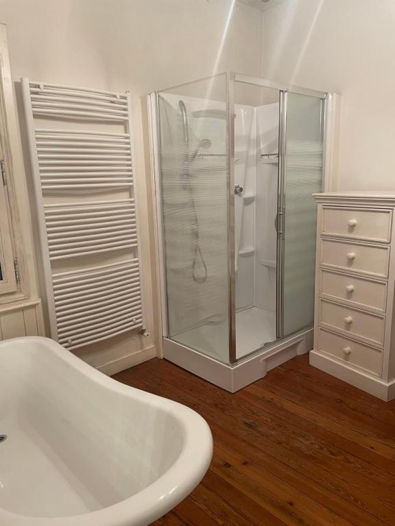a bathroom with a shower and a white tub at Chez Louise in Albi