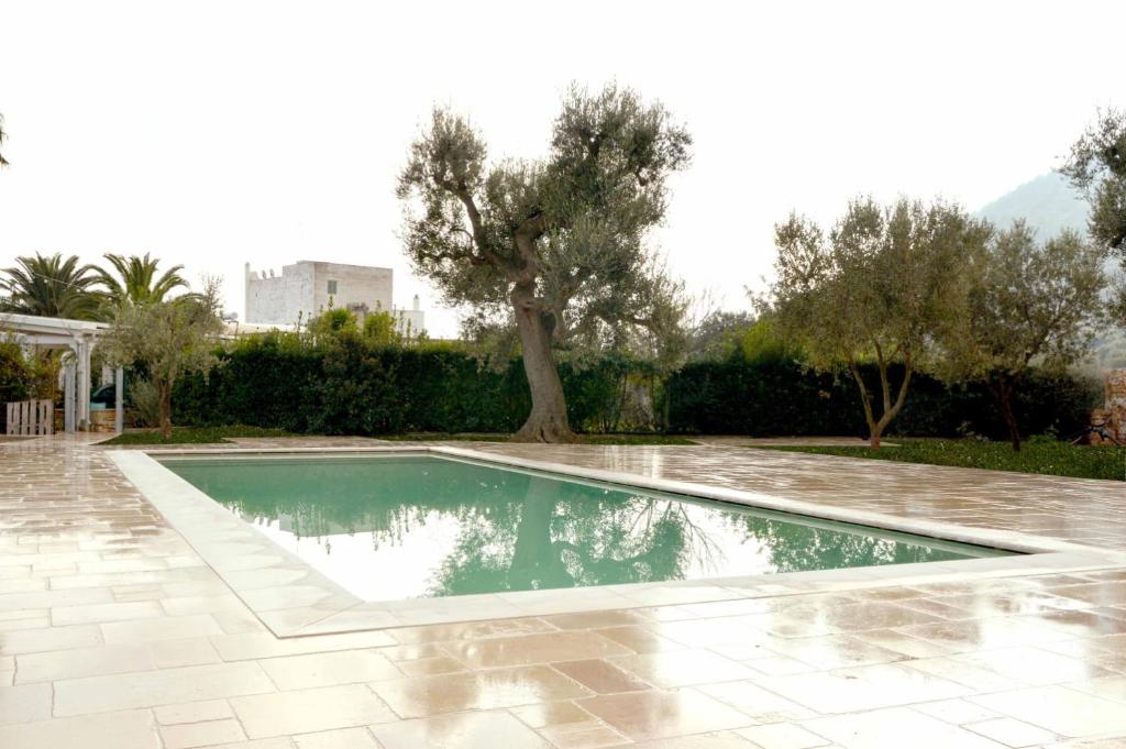 una piscina en un patio con un árbol en Masseria Fragnale, en Fasano