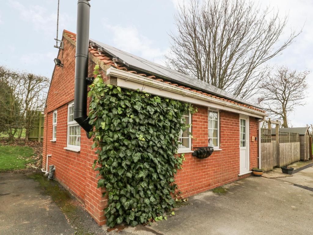 a red brick house with a green ivy growing on it at Wee Woody in Bentley