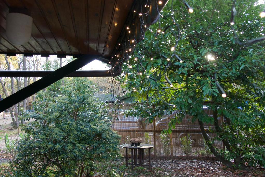 Zahrada ubytování Chalet Harmony
