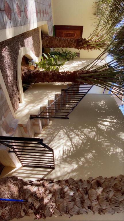 Fotografie z fotogalerie ubytování Bidiya oasis v destinaci Al Raka