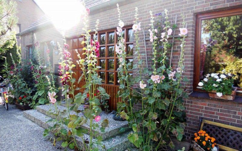um jardim de flores ao lado de um edifício de tijolos em Ferienwohnung-bei-Familie-Kuehl em Fehmarn