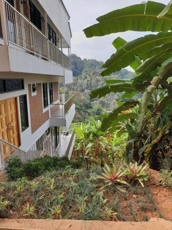 Zahrada ubytování DOI TUNG Anisa Homestay