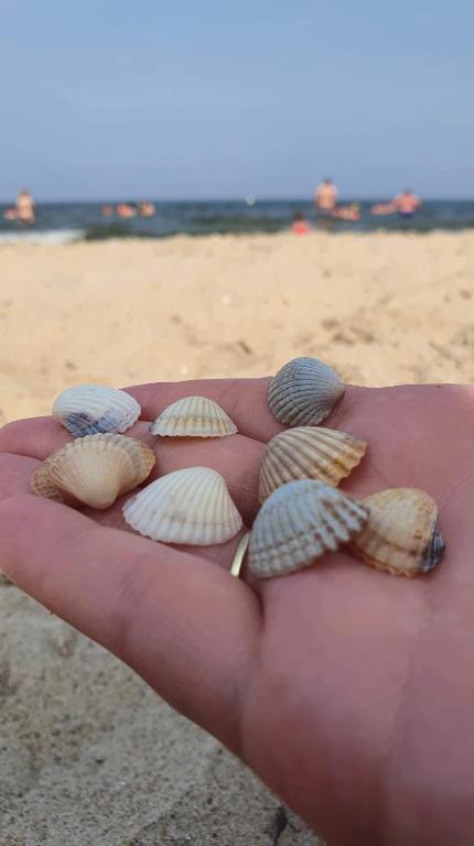 Príroda v okolí dovolenkového domu