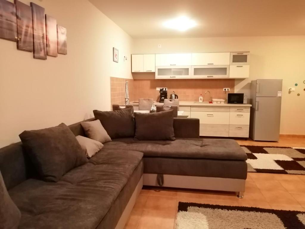 sala de estar con sofá y cocina en Reza apartman, en Cserkeszőlő