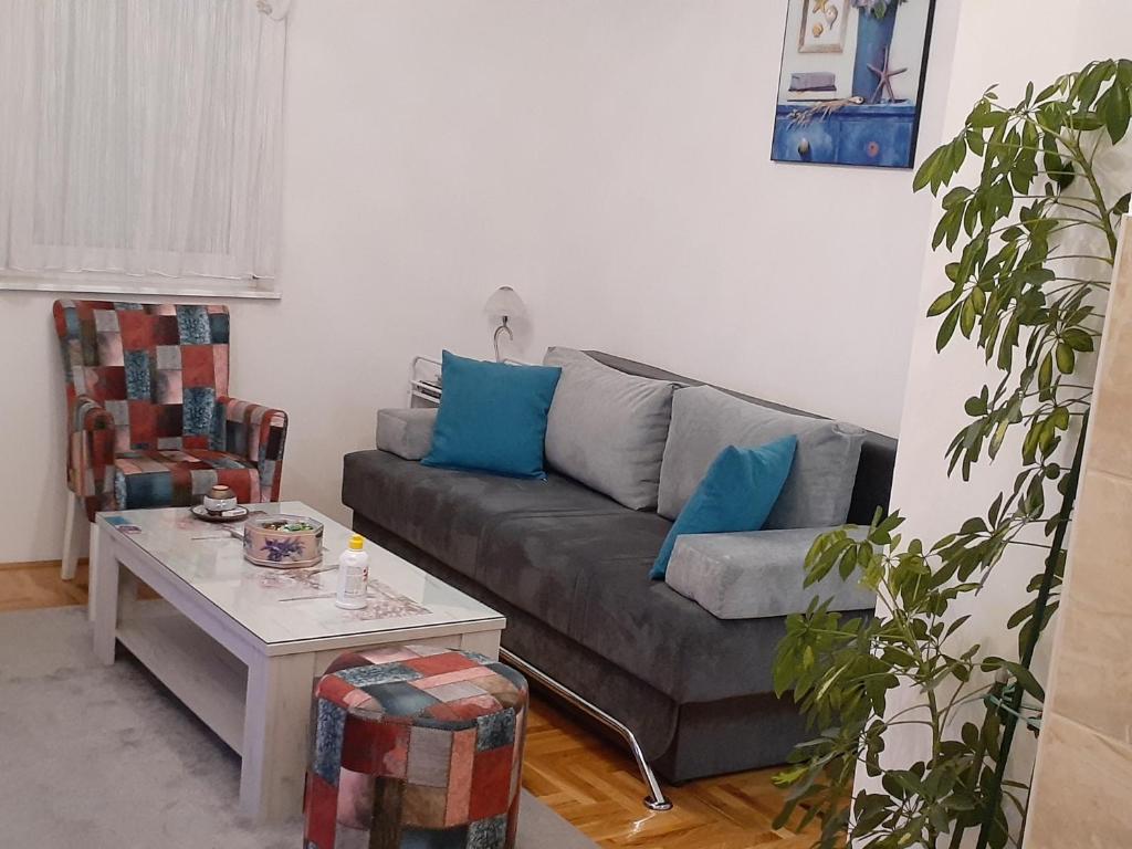 sala de estar con sofá y mesa en Apartman Hilandarska, en Lukavica