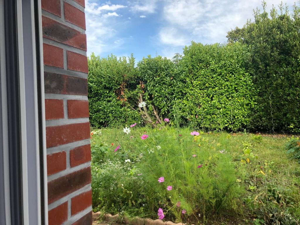 Studio GîTE COSY sur Jardin - Haus Mit 1 Schlafzimmer