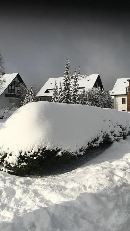 Am Skihang Erlebniskappe Winterberg im Fichtenweg