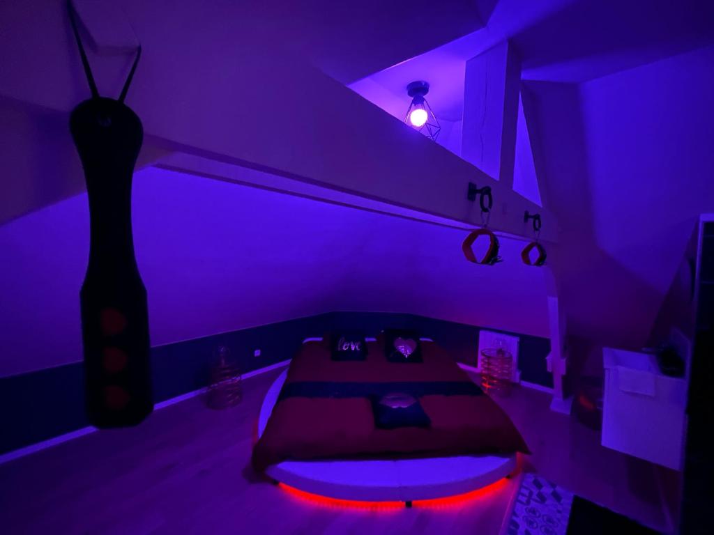 Fotografie z fotogalerie ubytování Redroom Loveroom Chambre Spa privative Insolite Thème 50 nuances de grey v destinaci Douchy-les-Mines